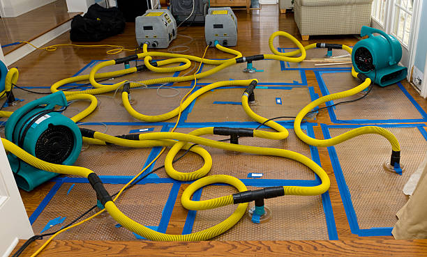 Professional Water Extraction technician working in Saint Ann, MO